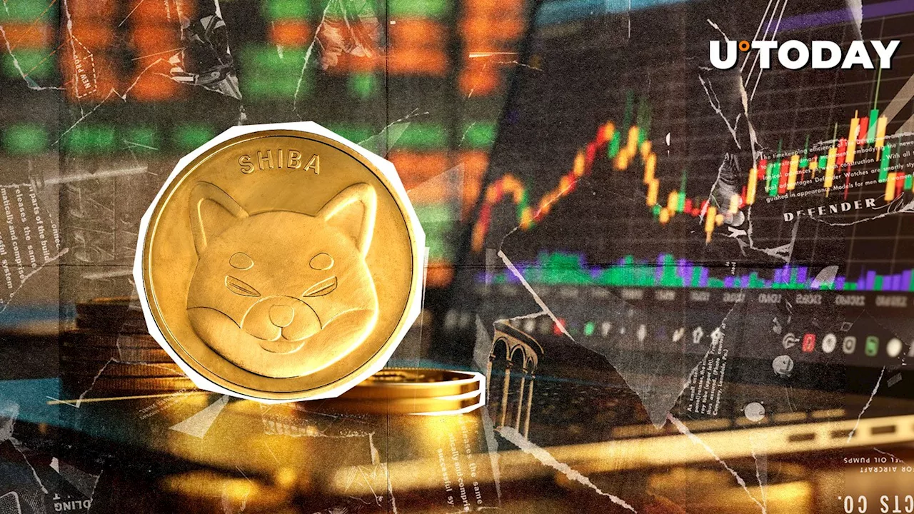 Shiba Inu Price Drops 23% But Key Support Level Offers Hope for Rebound