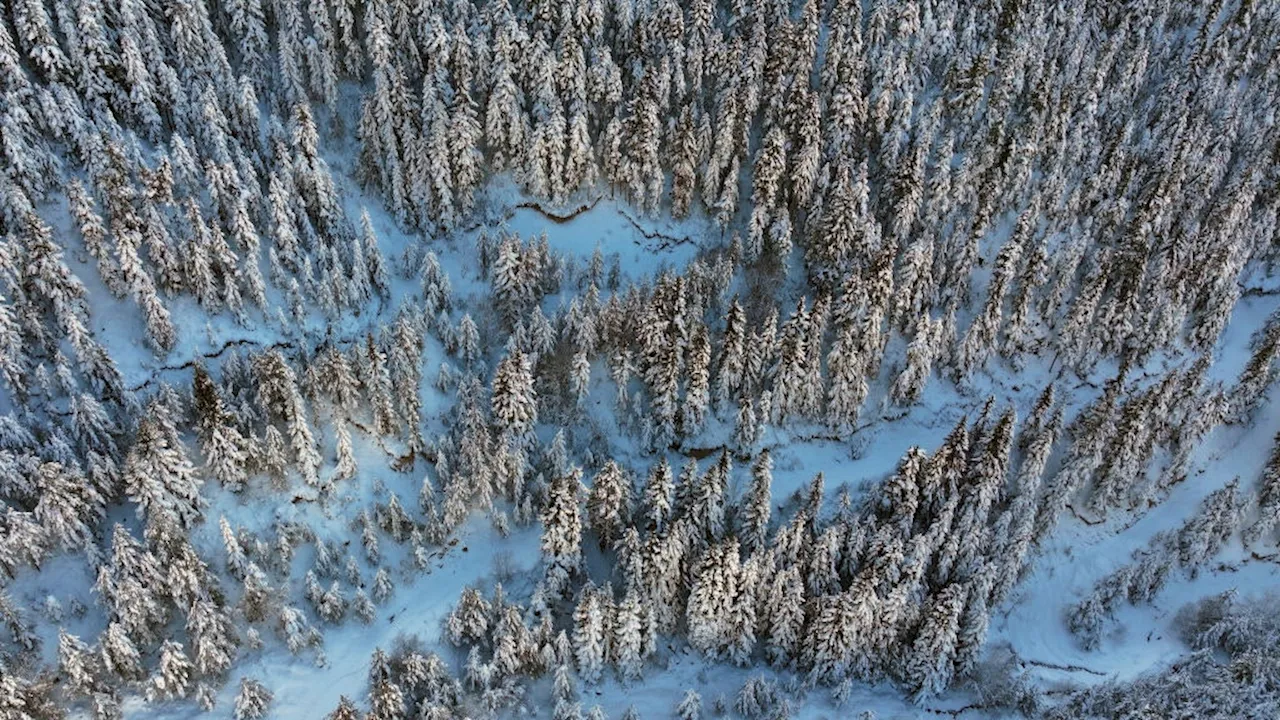 Il Solstizio d'Inverno: Trazione Antiche Tradizioni e Nuova Vita