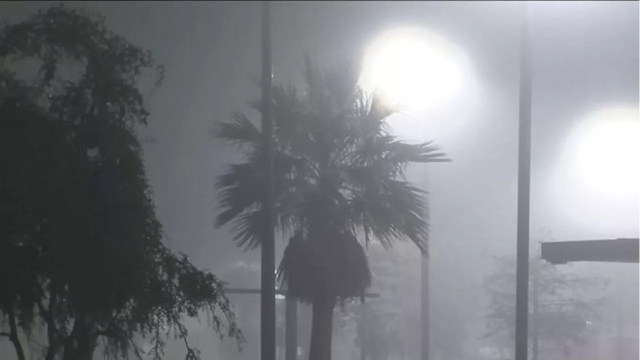 Dense fog advisory in effect for NE Florida, SE Georgia until 10 a.m. Wednesday