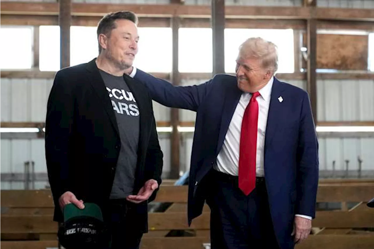 Musk and Trump are viewed roughly the same by Americans, an AP-NORC poll finds