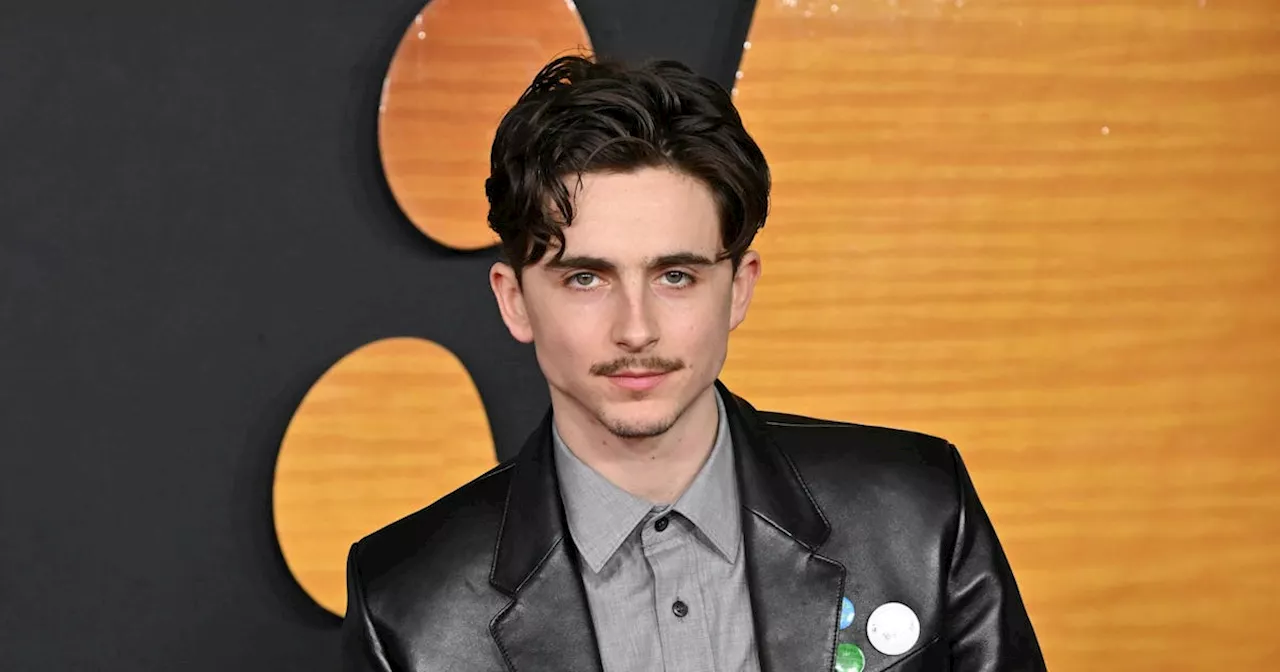 Timothée Chalamet's Press Tour Style for 'The Killer'