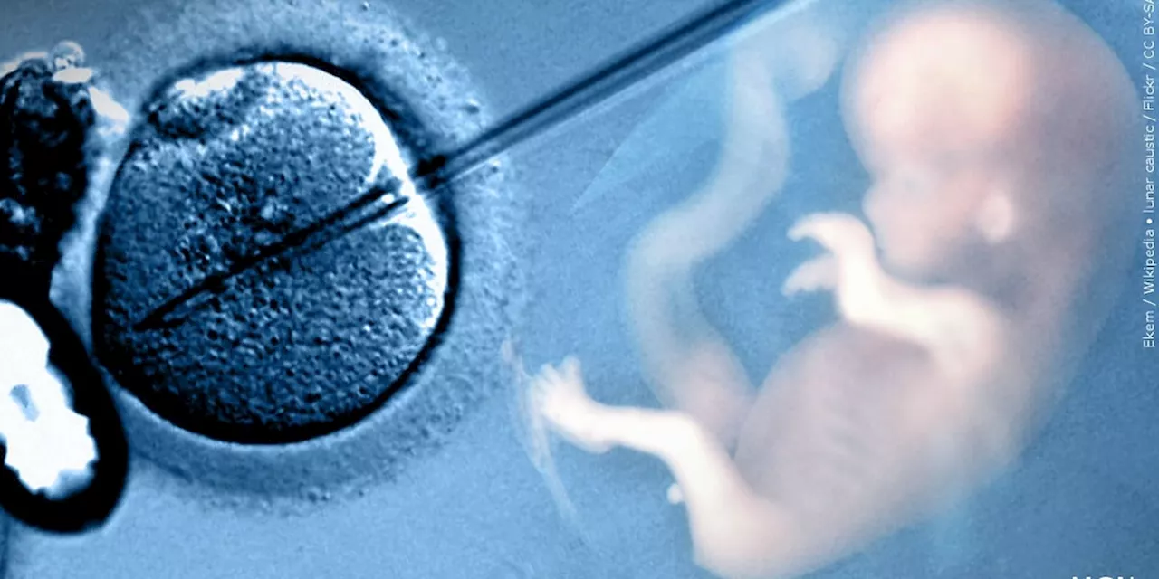 Couple Drops Lawsuit After Alabama Supreme Court Rules Frozen Embryos Are 'Extrauterine Children'