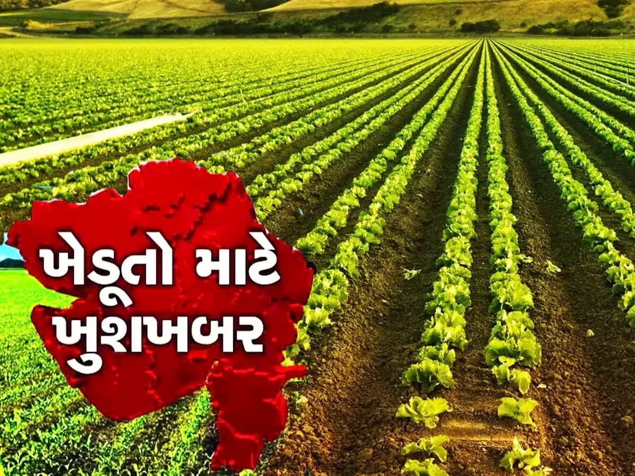 ગુજરાતમાં શિયાળુ પાક વાવેતર માટે પાણીની ચિંતા દૂર