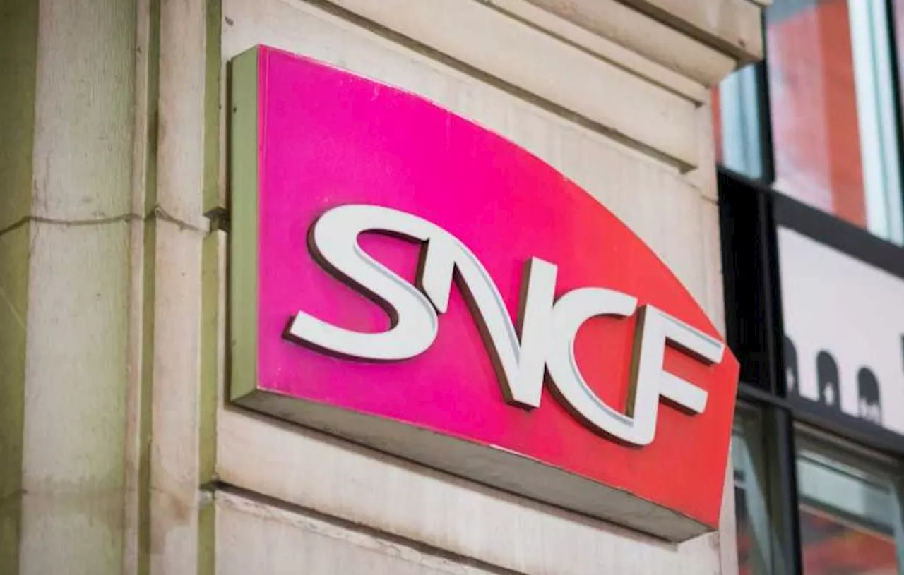 Cour d'Appel Confirme la SNCF responsable du Suicide d'un Employé