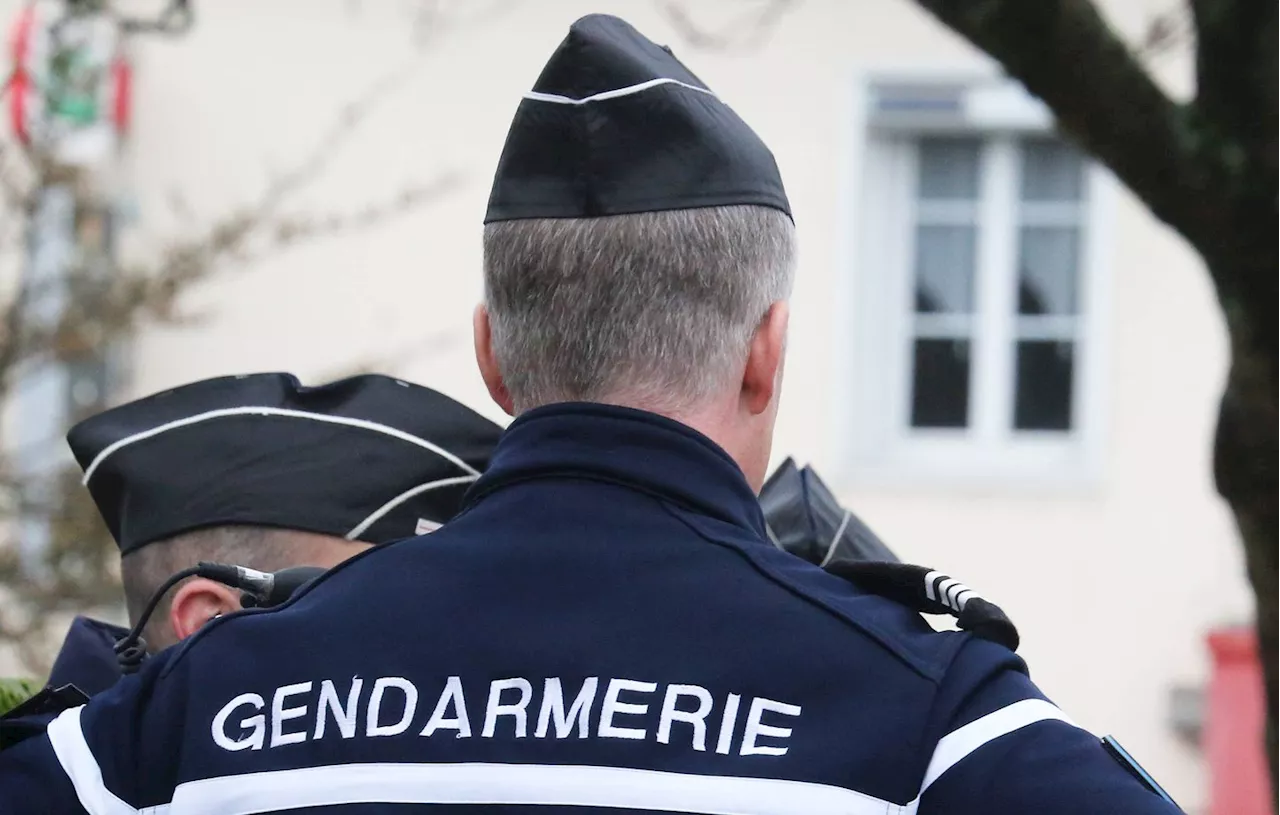 Deux Voleurs à Manivelle Arrêtés en Vendée