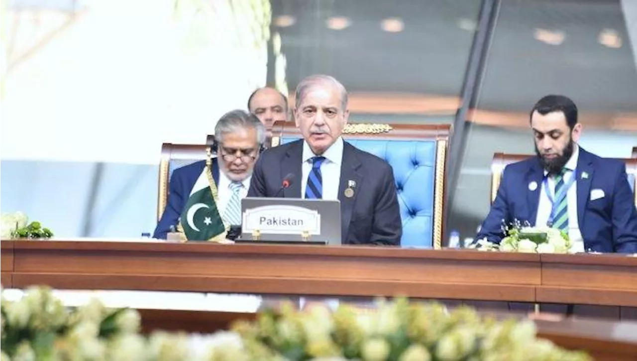 D-8 Summit Special Session: Pakistan PM calls for global action on Gaza, Lebanon