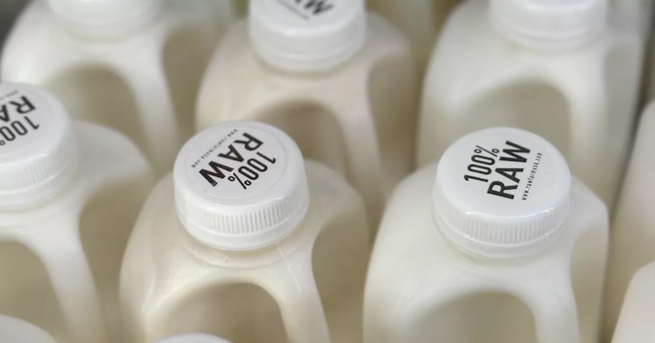 Flu virus can remain infectious in refrigerated raw milk, new study finds