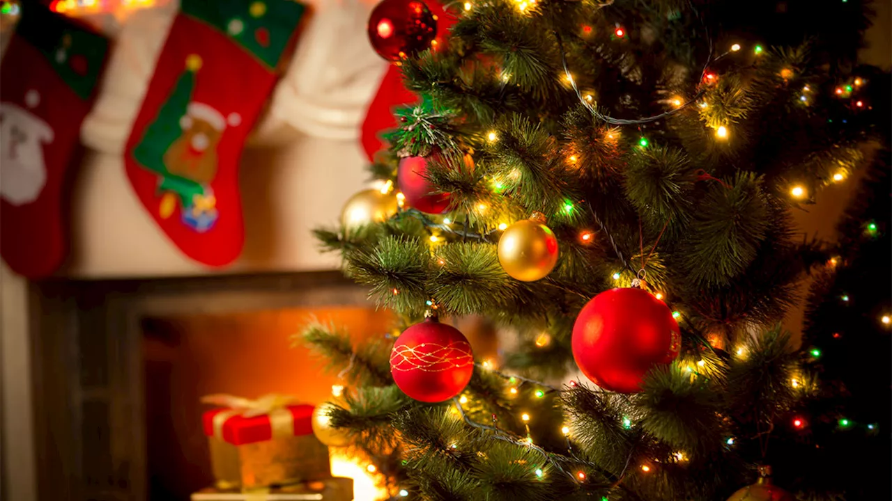 Christmas Tree Fire Safety Tips