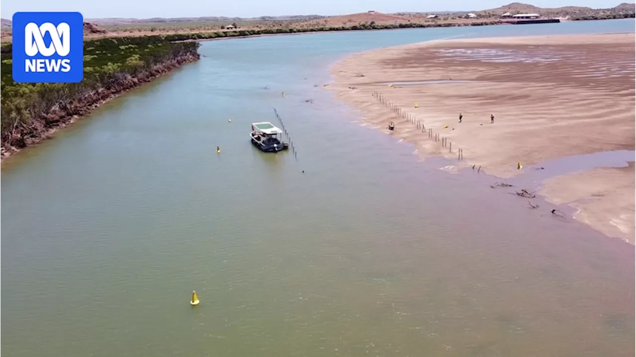 3,000 Oysters Stolen from Remote Western Australian Estuary