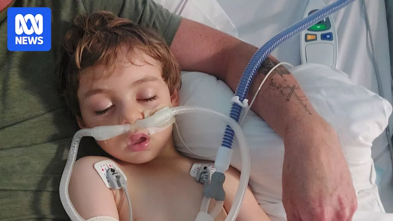 Boy, 4, Fought For Life After Paralysis Tick Bite