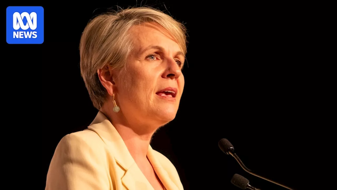 Plibersek Approves Coal Mine Expansions Despite 'No New Mines' Claim