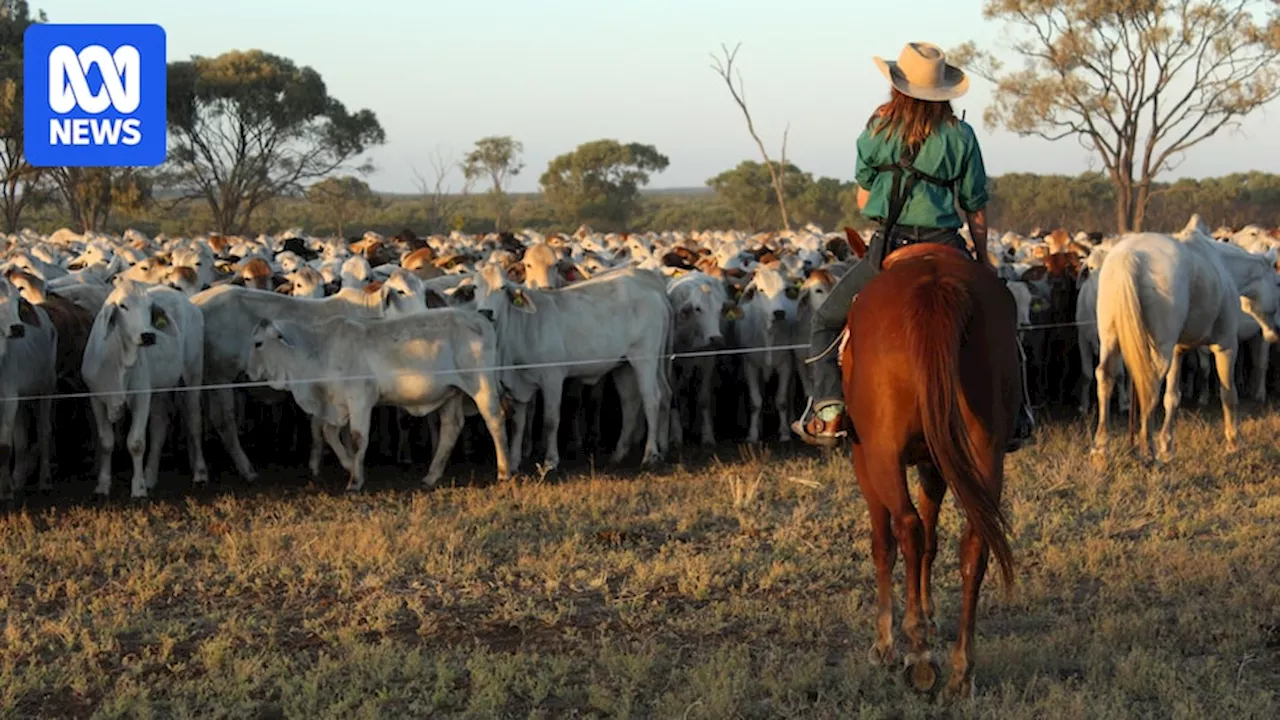 Queensland and Western Australian Farmers Boost Confidence for 2025