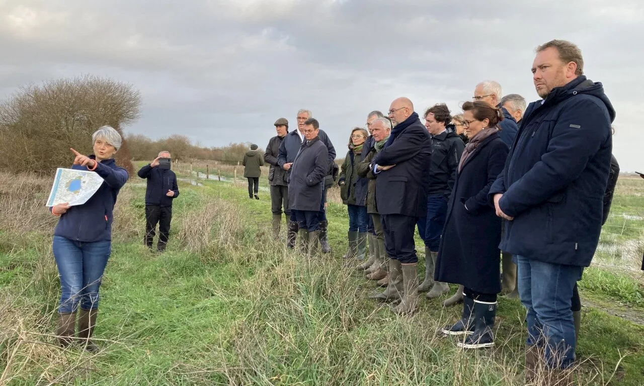 La Tourbière de Sèves : Vers un Plan d'Eau de 700 hectares