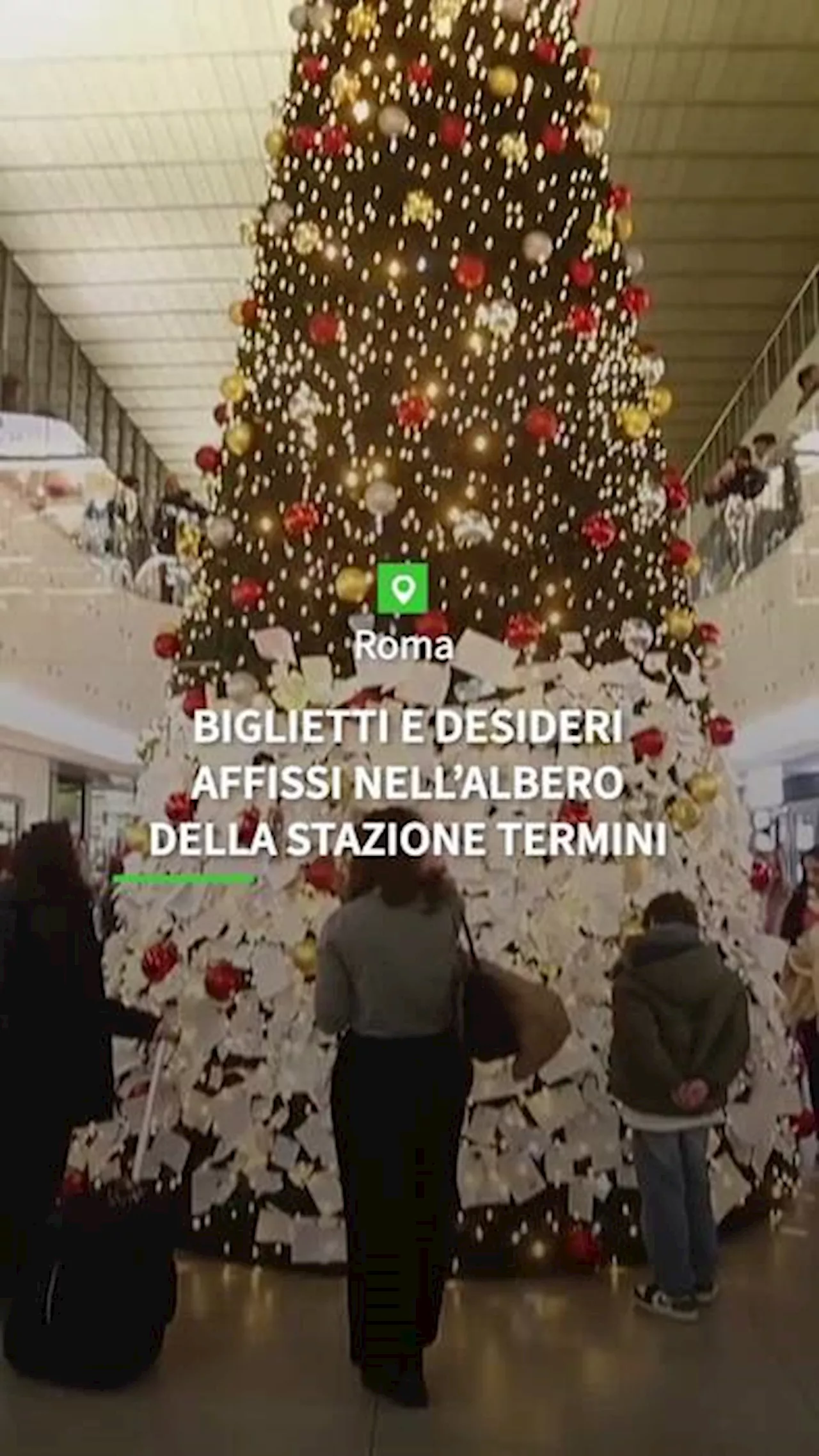 Roma, biglietti e desideri affissi nell'albero della stazione Termini