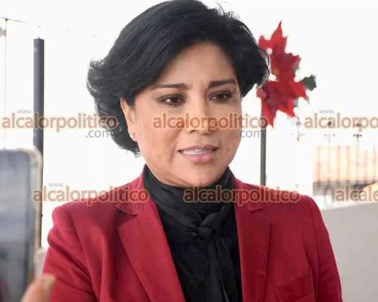 No buscaré la Alcaldía de Xalapa: Elizabeth Morales