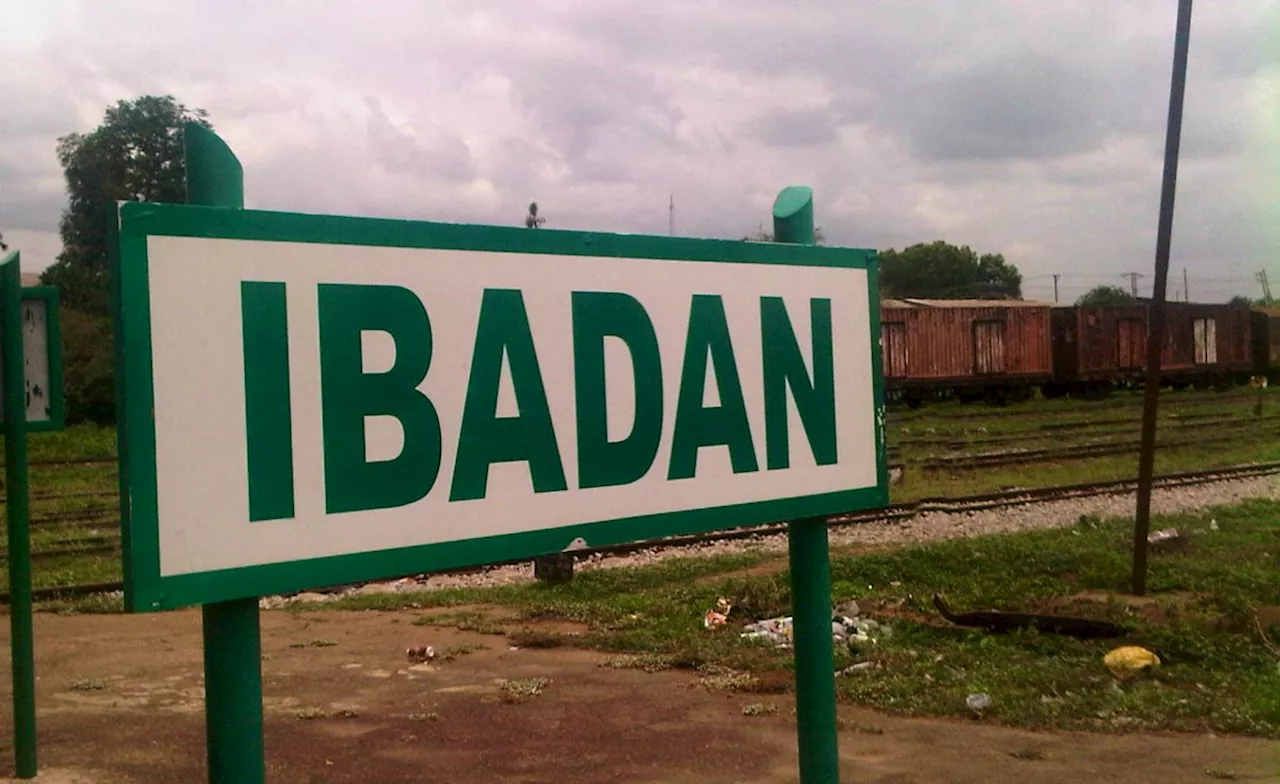 Stampede at Ibadan Carnival Kills Several Children