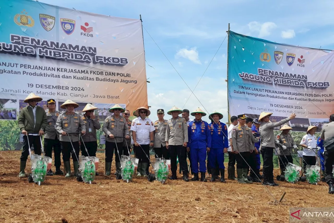 Baharkam Polri tanam jagung hibrida di lahan 20 hektar di Cianjur