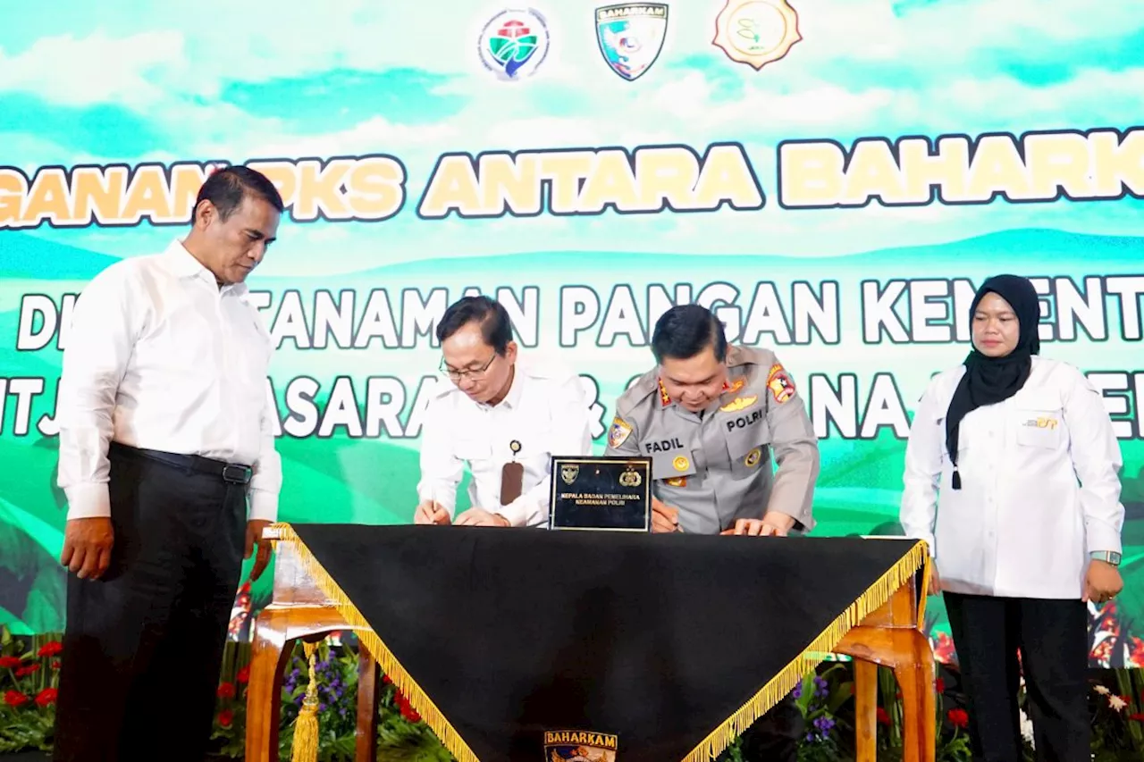 Percepat Swasembada Jagung, Mentan Tunjuk Polri dan TNI