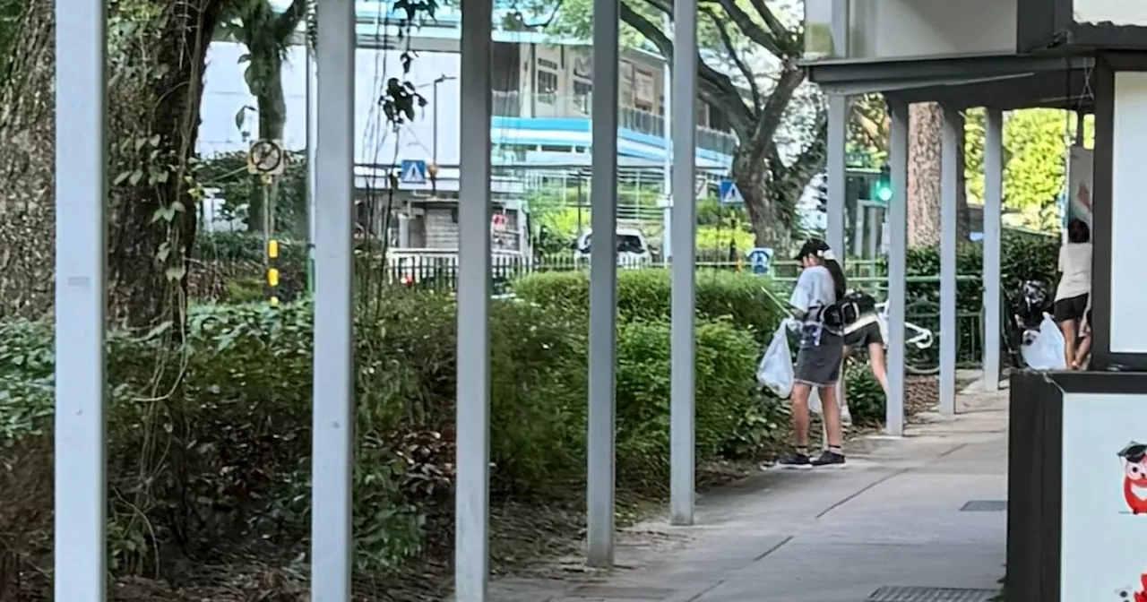 Japanese Family Praised for Picking Up Litter in Singapore