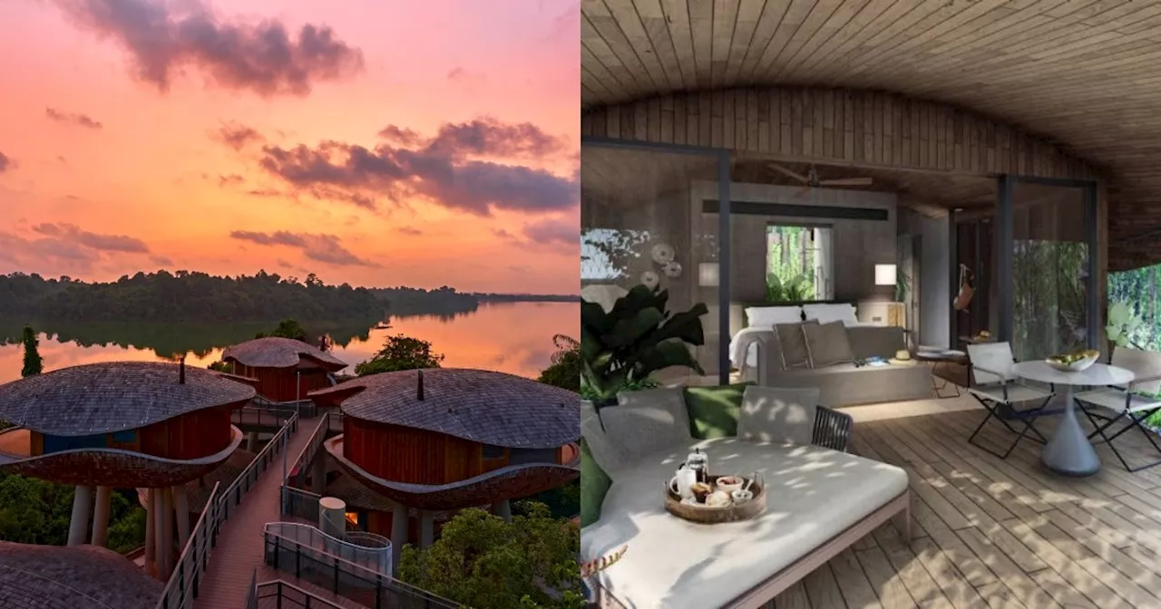 Mandai Rainforest Resort to Open in 2025, Offering Eco-Luxe Getaway