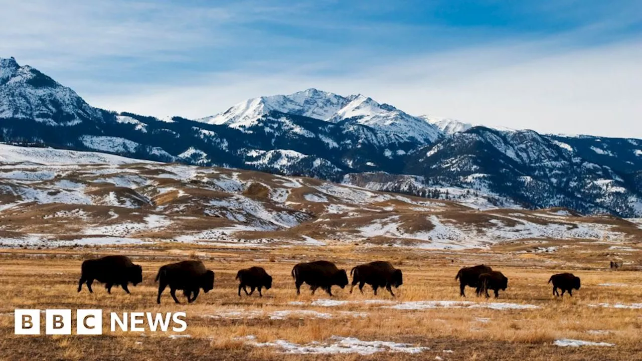 Montana Supreme Court Rules Climate Change is a Constitutional Right