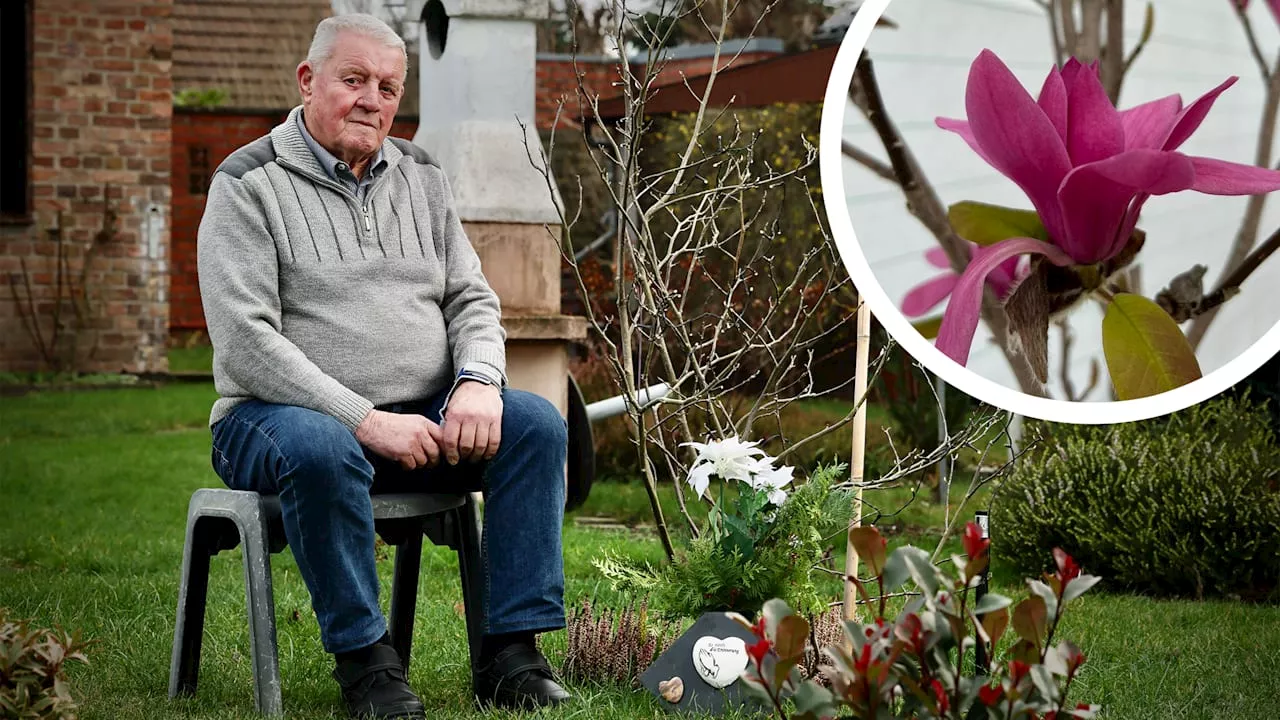 Witwer pflanzt seine verstorbene Frau als Magnolie in den Garten