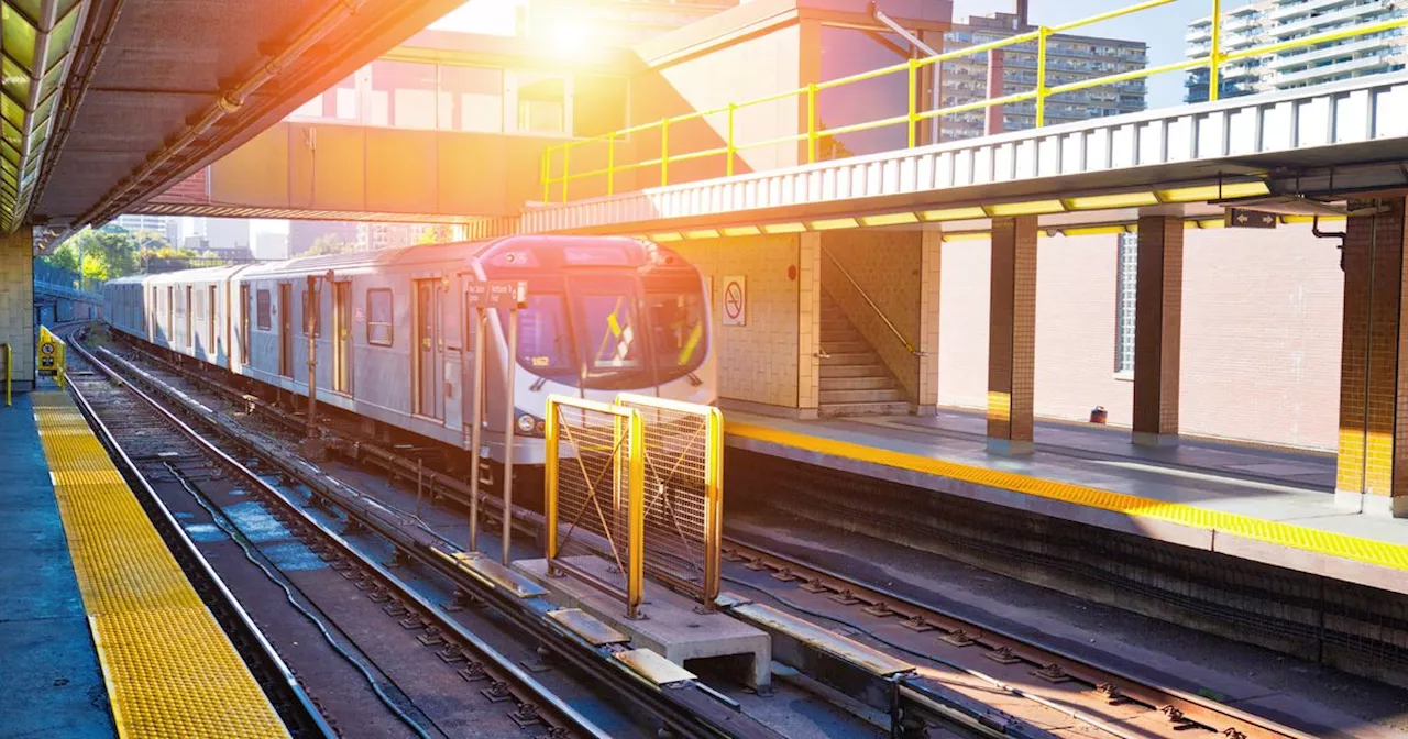 Raccoon Causes 45-Minute Delay on Toronto Subway