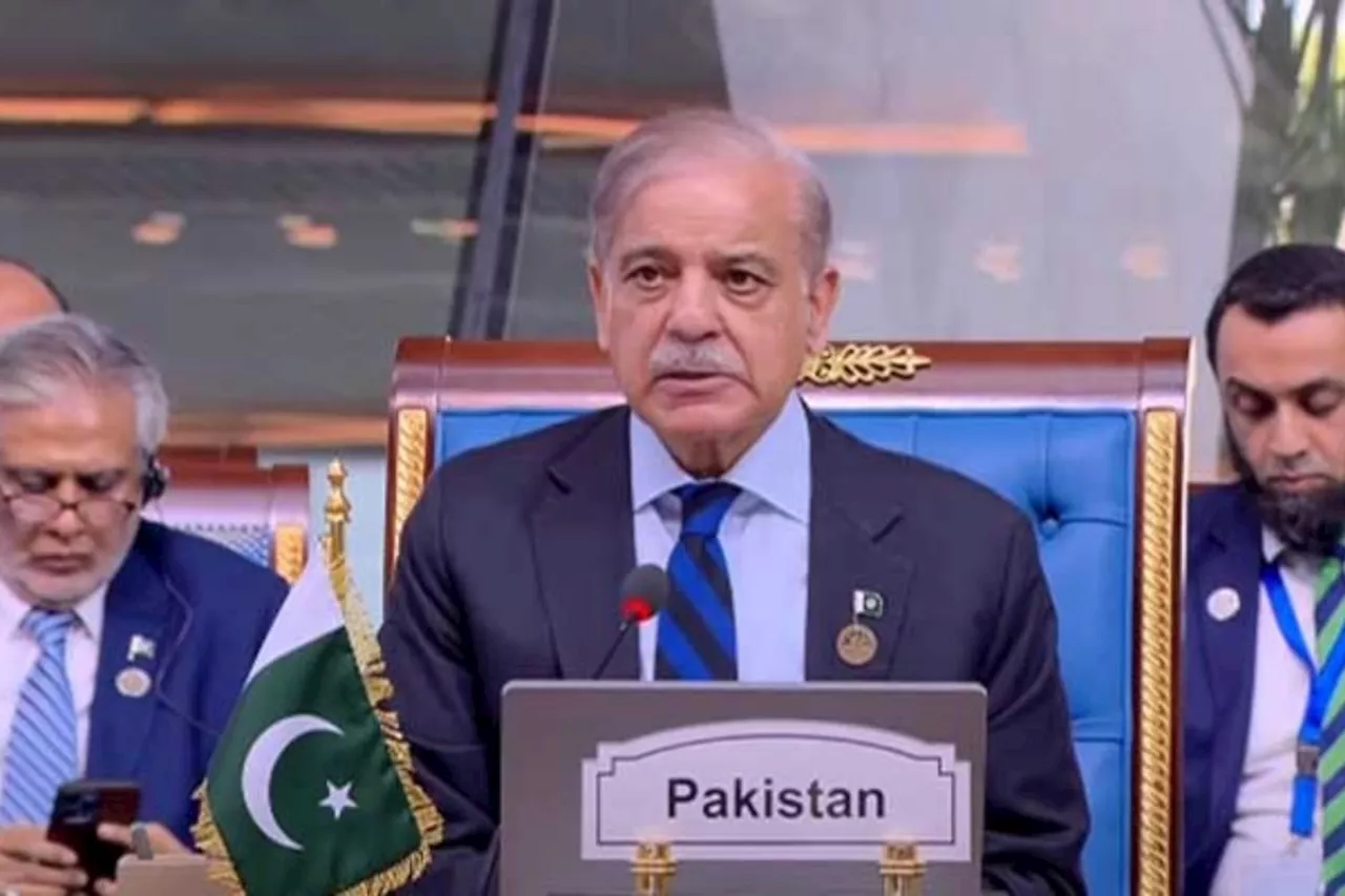 D-8 Summit: PM Shehbaz urges to empower youth and support SMEs