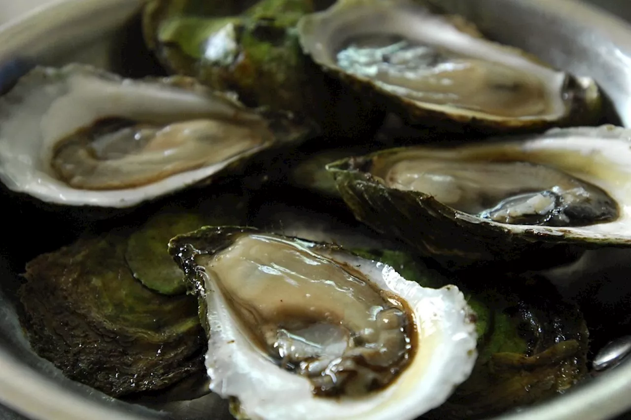 64 Ill After Eating Raw Oysters in British Columbia