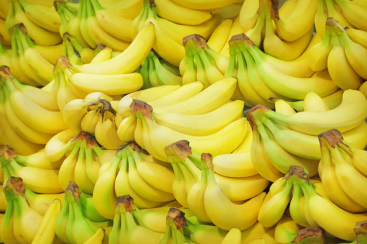 PHL banana boost seen in S. Korea with tariff cuts