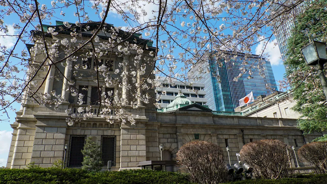 Bank of Japan Holds Interest Rate Steady at 0.25%