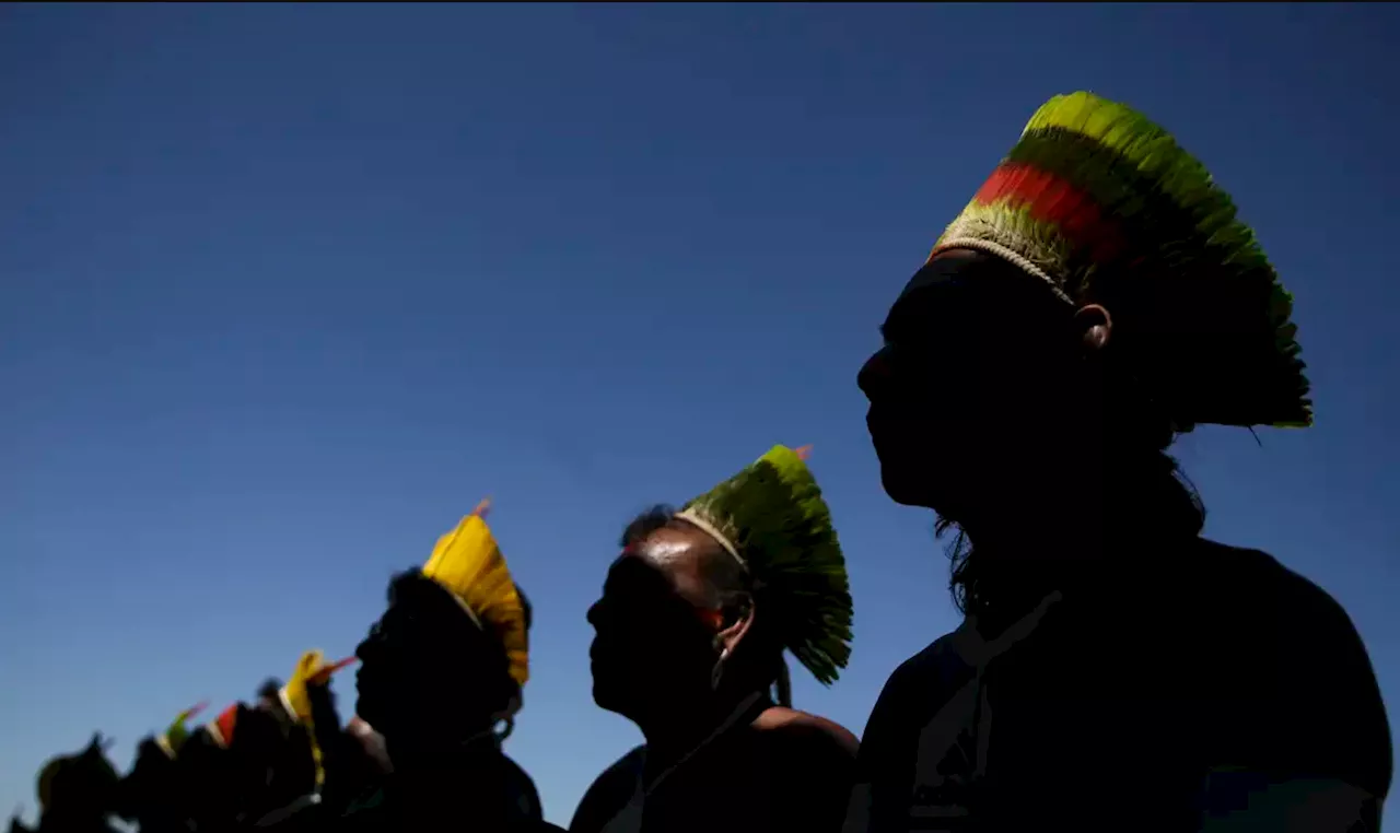 Crescimento da População Indígena no Brasil