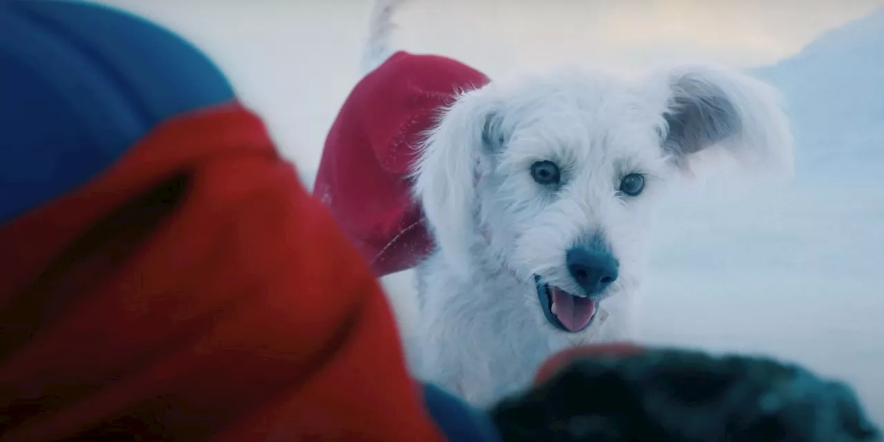 James Gunn's Superman To Feature Krypto the Superdog