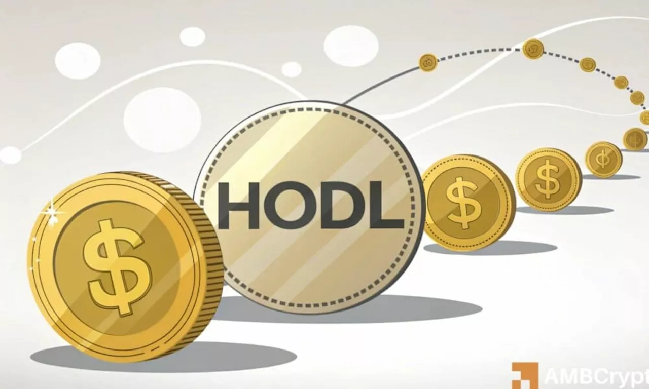 HODL Token Soars on BNB Chain, But Bears Looms