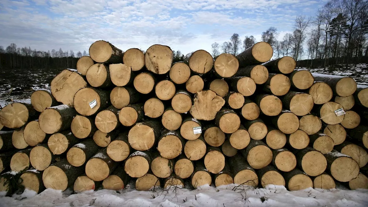 Förslag för att stärka äganderätten i skogen