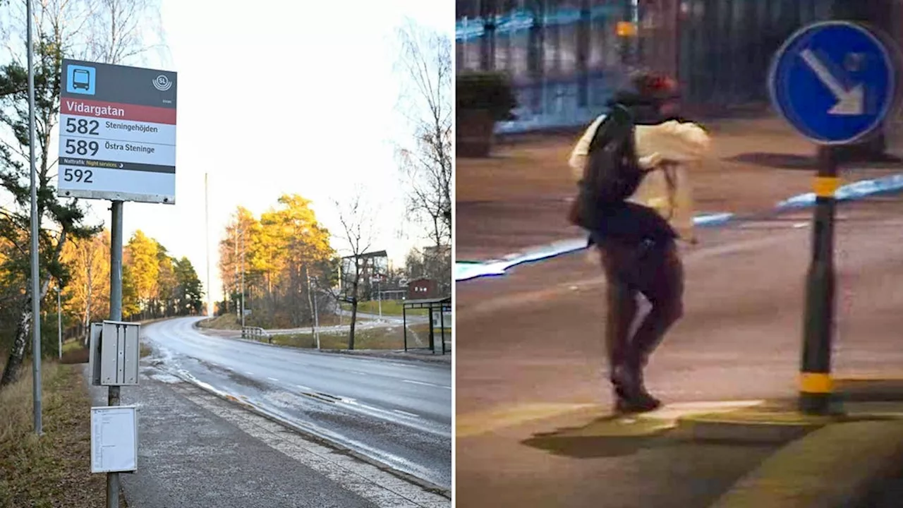 38-åringen bestämde sig för att döda kvinnan på bussen