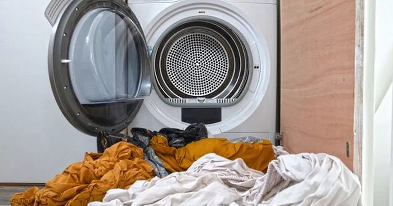 Hidden Household Offenders: 5 Appliances Draining Your Energy Bills