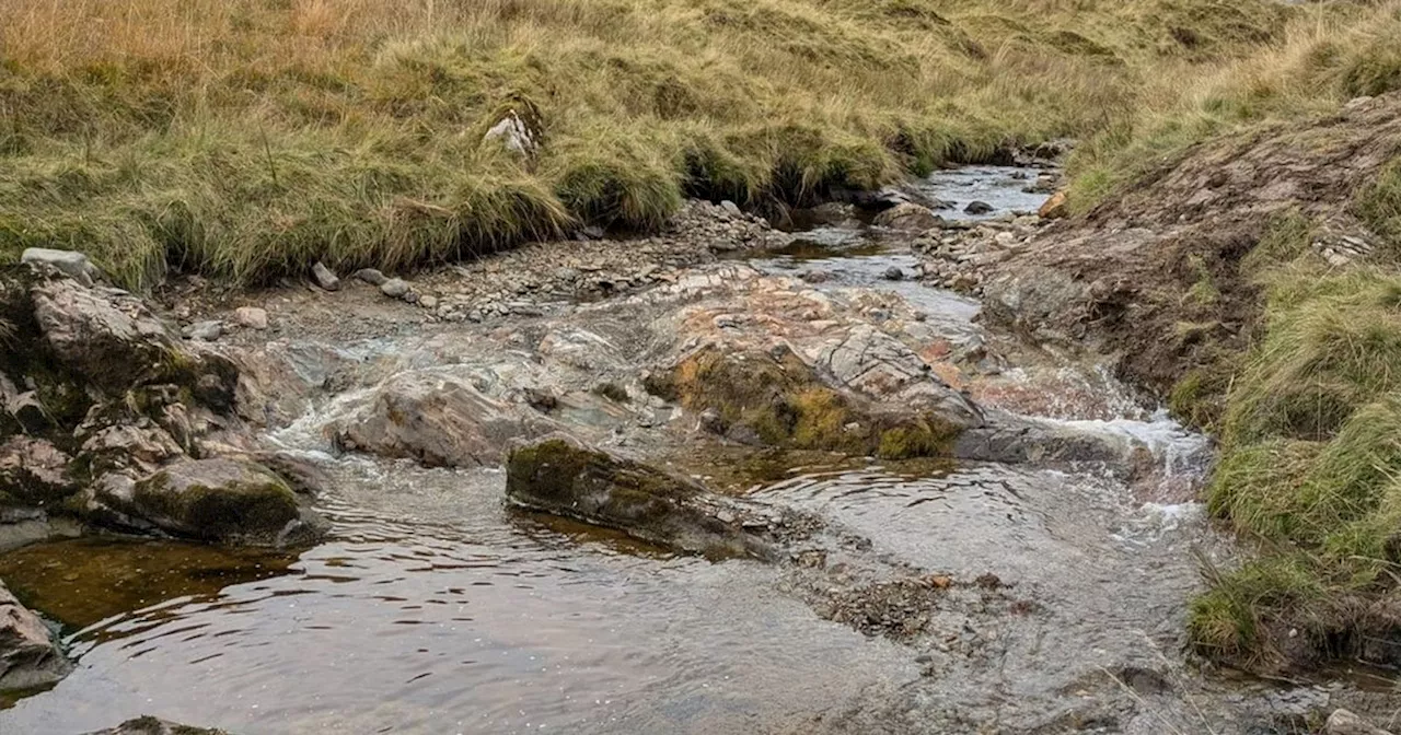 Innovative Weir Removal Boosts Fish Populations in Scotland