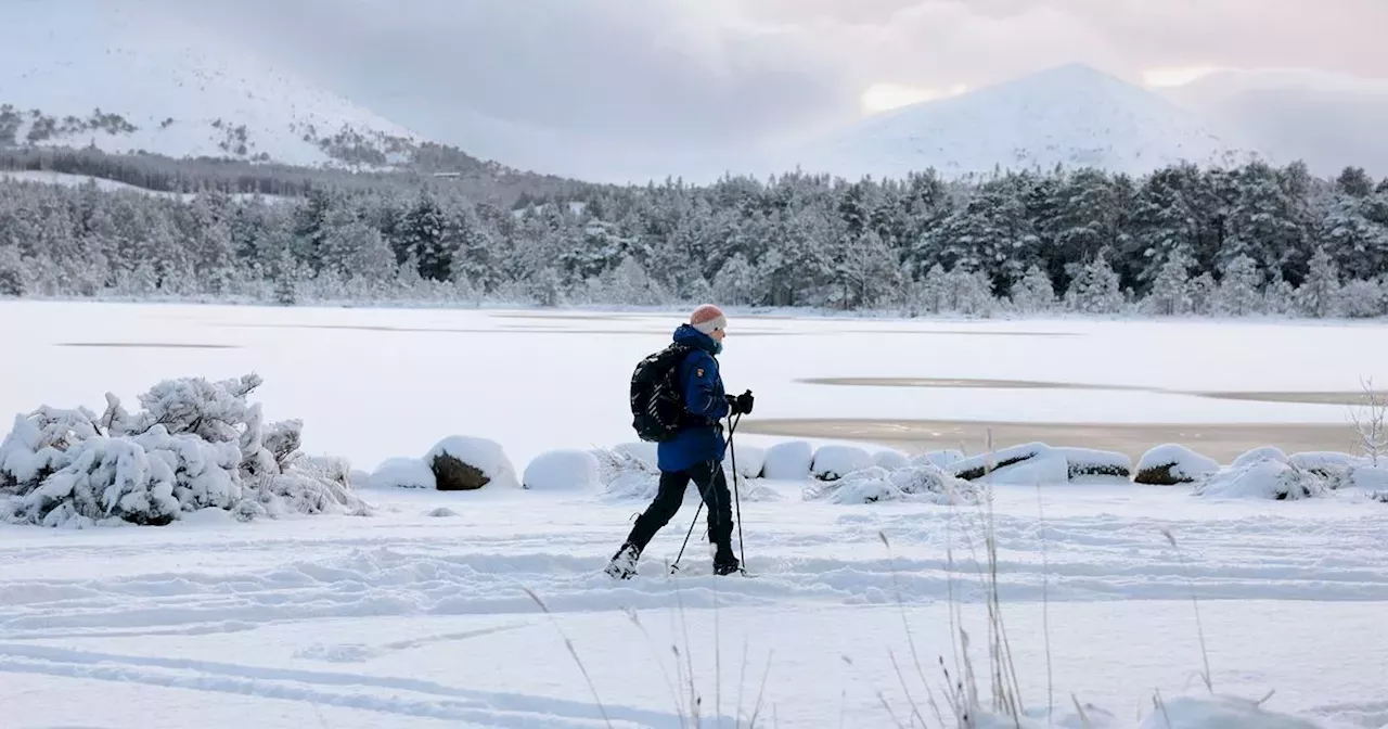 Loch Morlich Walk: A Festive Winter Wonderland in the Cairngorms