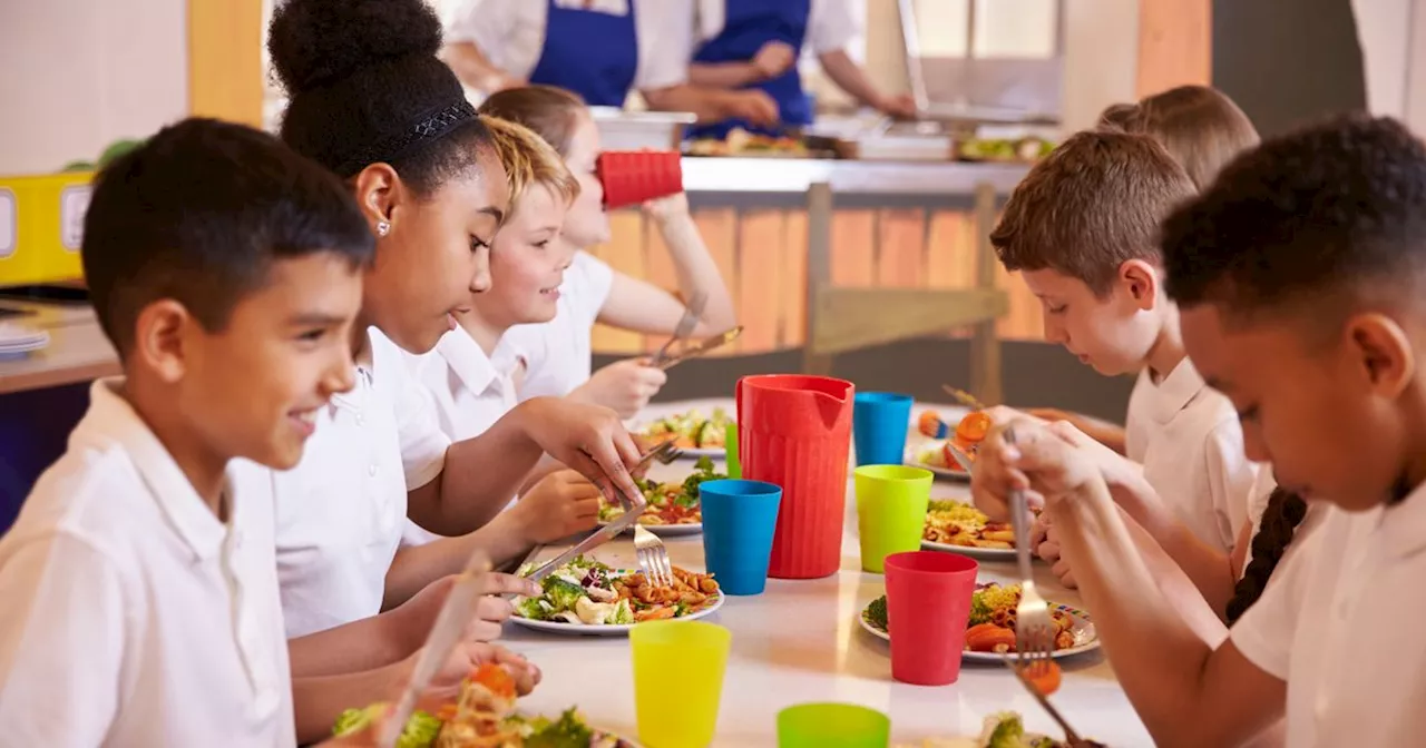 School Lunch Sparks Debate Online