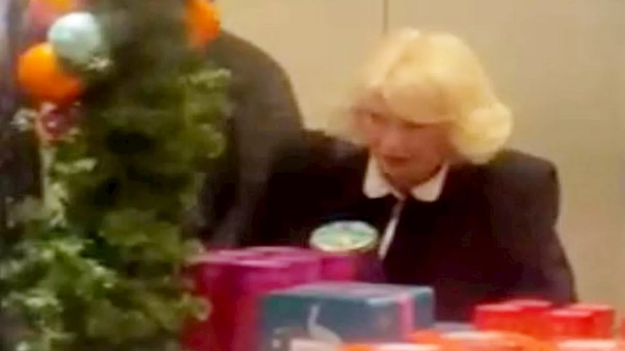 Queen Camilla Spotted Doing Christmas Shopping at Fortnum & Mason