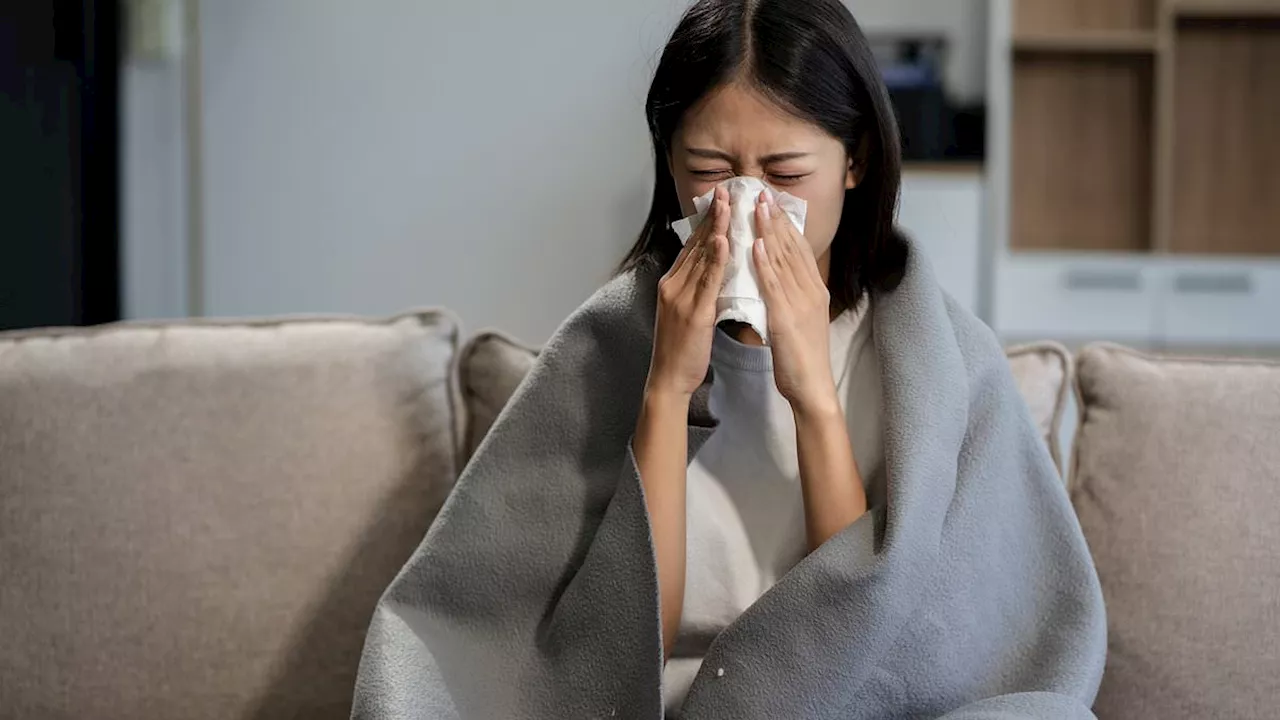 UK Faces Early 'Tidal Wave' of Festive Flu, Hospitals Overwhelmed