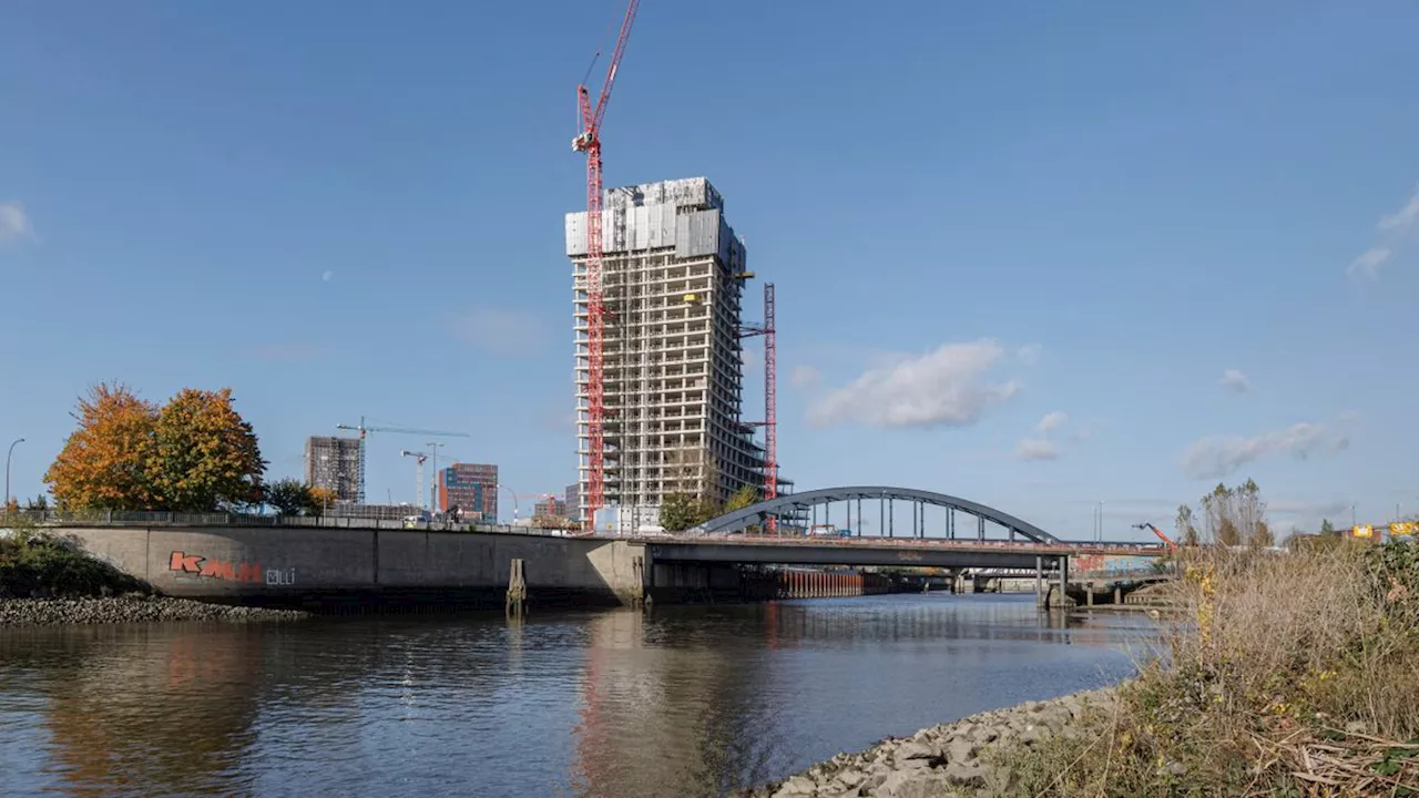 Elbtower Rettung: Naturkundemuseum als Ankermieter?