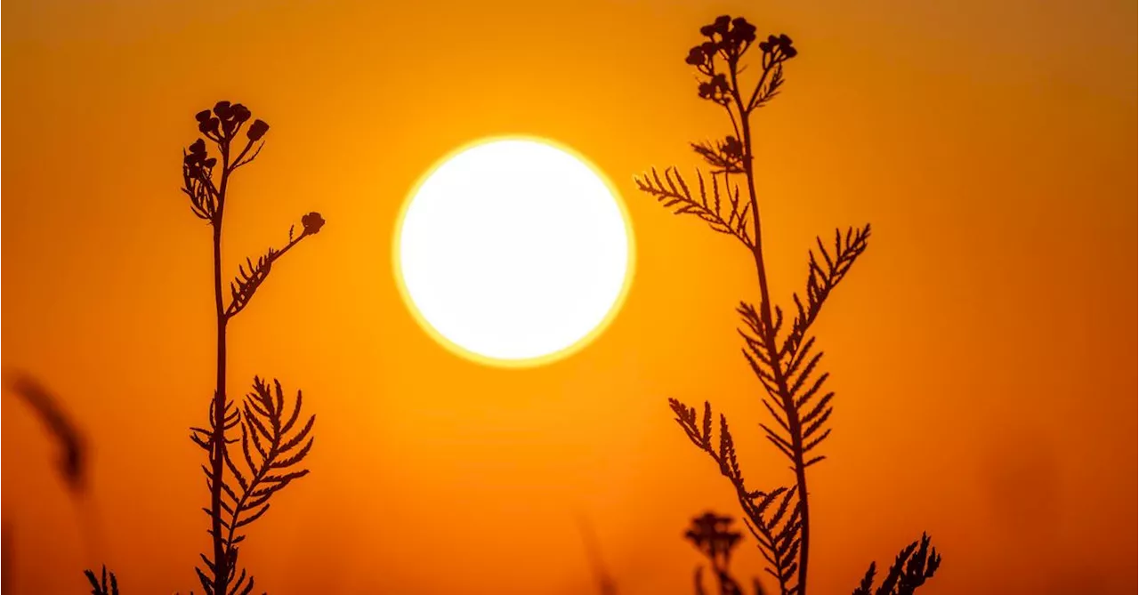 Österreich erlebte 2024 den wärmsten Sommer und die Rekordtemperaturen