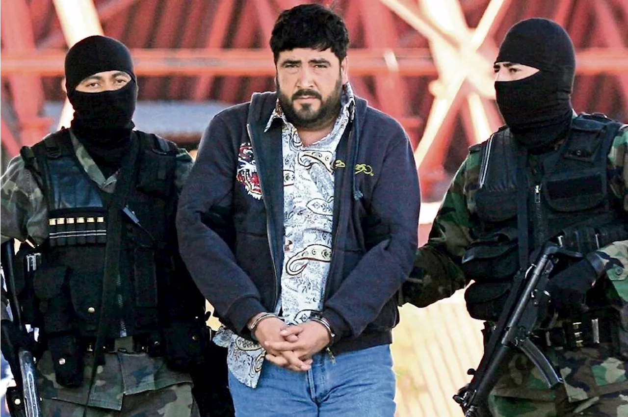 El Mayo Zambada: Hijo del Mochomo y Sobrino del Chapo