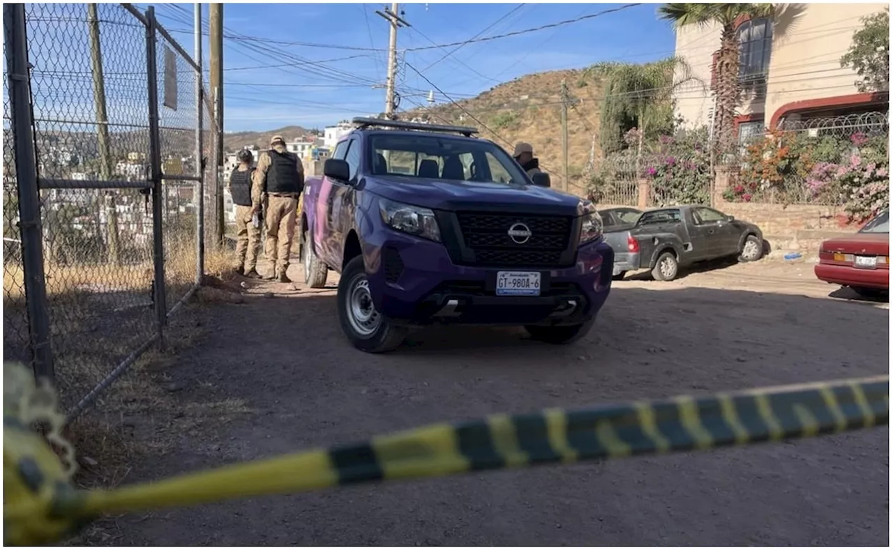 ¡Me pareció ver a un lindo gatito! Captan a pantera deambulando en callejones de Guanajuato; policía ambiental asegura al felino