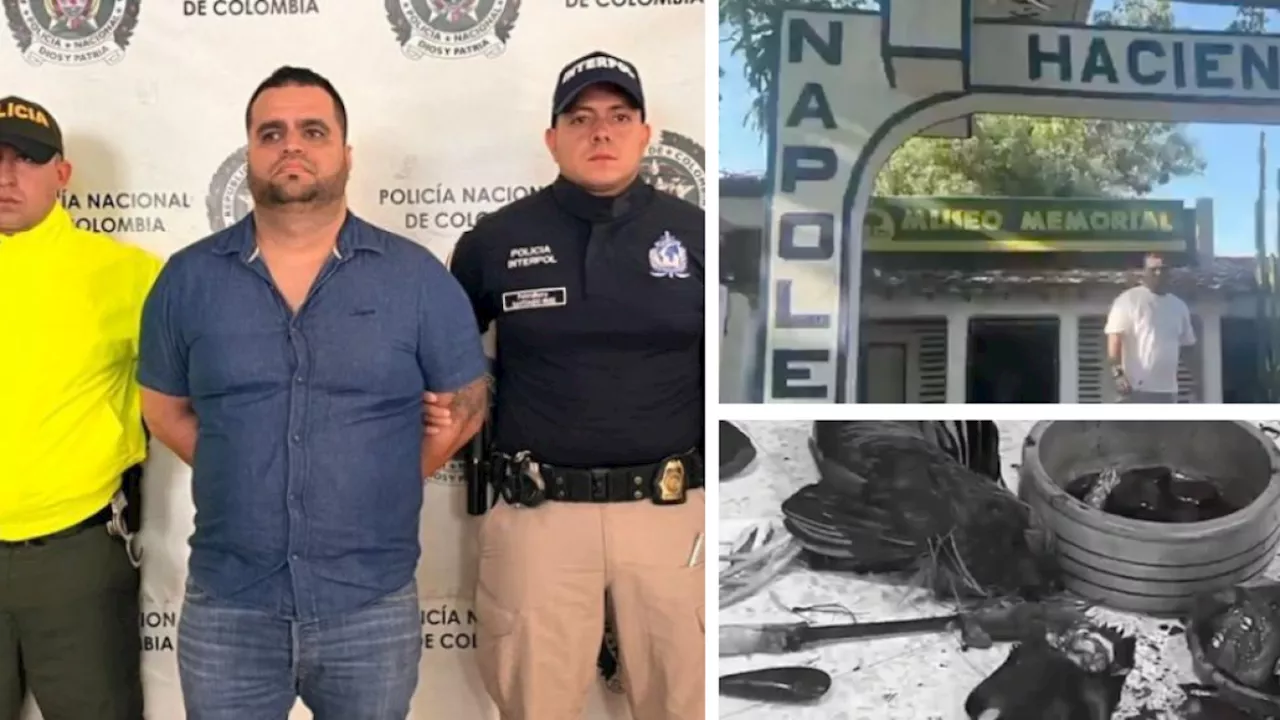 Captura de Johan Michael García, alias Gallina, líder del Tren de Aragua