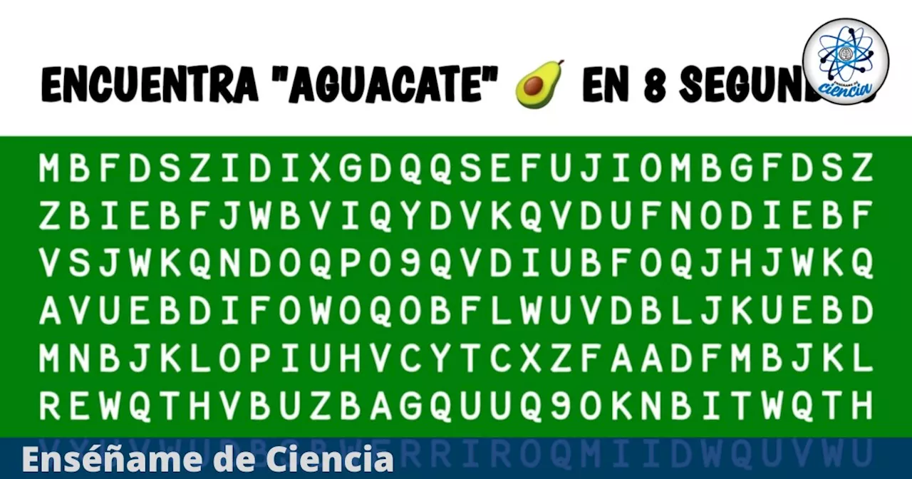 Acertijo para GENIOS: Encuentra la palabra “AGUACATE” en tiempo récord