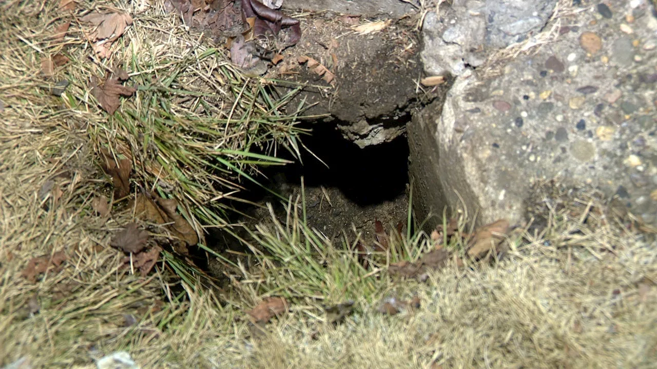 Sinkhole Outside Philadelphia Home Grows Despite Calls for Help