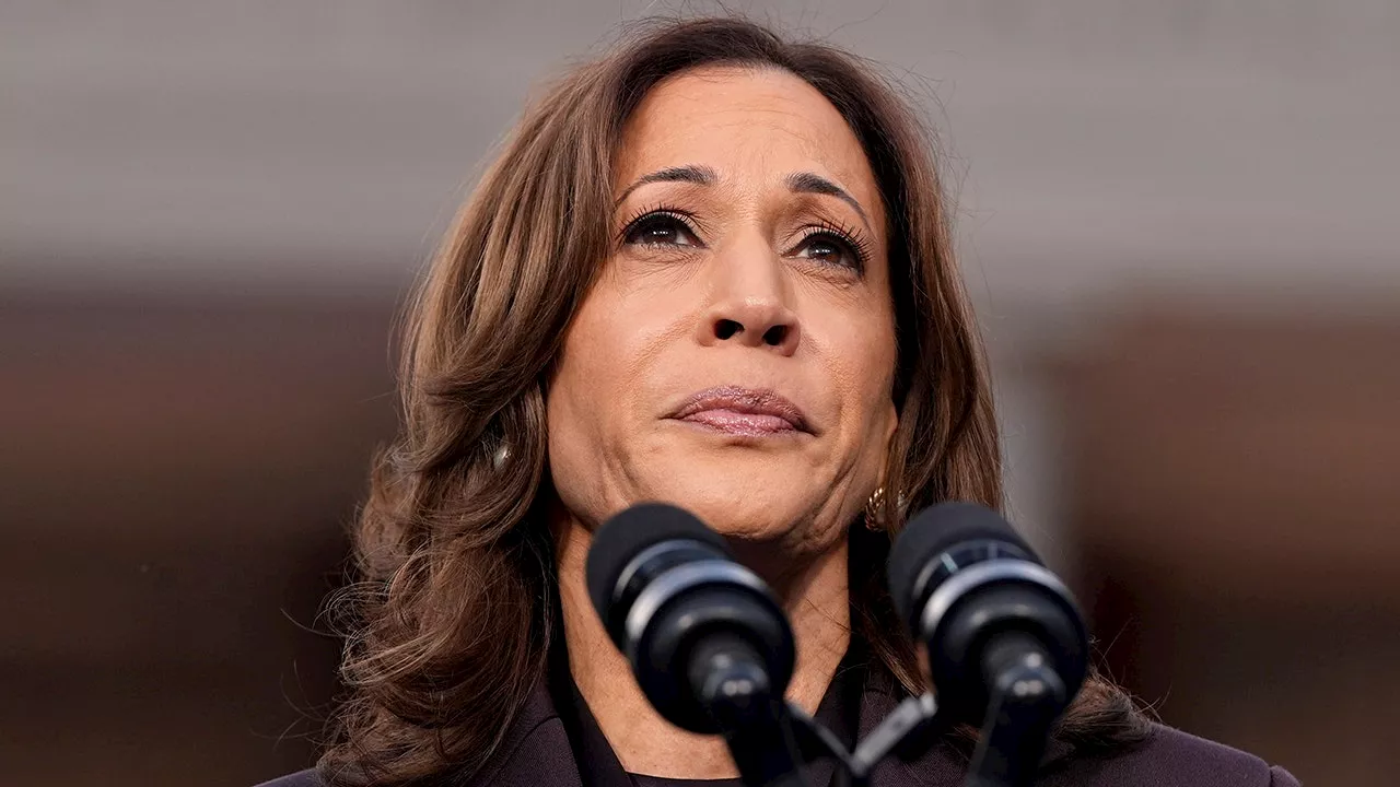 DNC Fundraiser Says Democrats in 'Delusions' About Kamala Harris Comeback